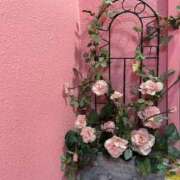 ヒメ日記 2025/12/30 01:19 投稿 のばら 熟女の風俗最終章 池袋店