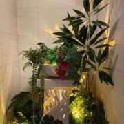 ヒメ日記 2026/01/10 18:22 投稿 のばら 熟女の風俗最終章 池袋店