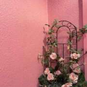 ヒメ日記 2026/02/04 17:02 投稿 のばら 熟女の風俗最終章 池袋店