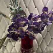 ヒメ日記 2026/02/20 15:45 投稿 のばら 熟女の風俗最終章 池袋店