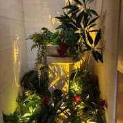 ヒメ日記 2026/09/29 14:32 投稿 のばら 熟女の風俗最終章 池袋店