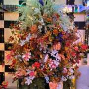 ヒメ日記 2026/10/11 23:42 投稿 のばら 熟女の風俗最終章 池袋店