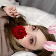 ヒメ日記 2025/11/30 08:36 投稿 すみれ Polaris（ポラリス）