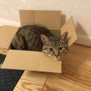 ヒメ日記 2025/12/07 17:02 投稿 すみれ Polaris（ポラリス）