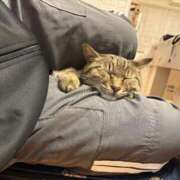 ヒメ日記 2025/12/09 09:22 投稿 すみれ Polaris（ポラリス）