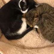 ヒメ日記 2025/12/10 09:42 投稿 すみれ Polaris（ポラリス）