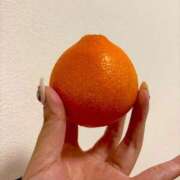 ヒメ日記 2025/12/19 09:52 投稿 すみれ Polaris（ポラリス）