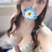 ヒメ日記 2025/12/23 09:42 投稿 すみれ Polaris（ポラリス）