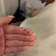 ヒメ日記 2026/01/13 11:32 投稿 すみれ Polaris（ポラリス）