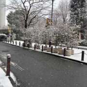 ヒメ日記 2026/02/08 09:42 投稿 すみれ Polaris（ポラリス）