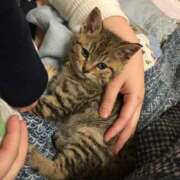 ヒメ日記 2026/02/20 20:12 投稿 すみれ Polaris（ポラリス）