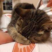 ヒメ日記 2026/02/23 12:42 投稿 すみれ Polaris（ポラリス）