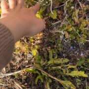 ヒメ日記 2026/03/14 08:02 投稿 すみれ Polaris（ポラリス）