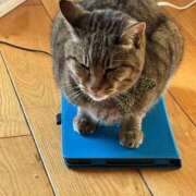 ヒメ日記 2026/03/24 08:02 投稿 すみれ Polaris（ポラリス）