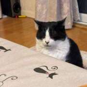 ヒメ日記 2026/04/05 08:22 投稿 すみれ Polaris（ポラリス）