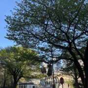 ヒメ日記 2026/04/10 09:47 投稿 すみれ Polaris（ポラリス）