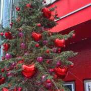 ヒメ日記 2025/12/24 13:51 投稿 平本 雫葵 マダム麗奈大阪