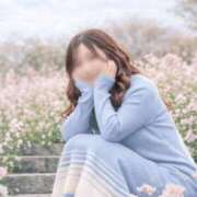 ヒメ日記 2026/04/02 21:21 投稿 平本 雫葵 マダム麗奈大阪