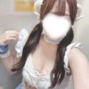 ヒメ日記 2026/01/31 23:35 投稿 なつか ビアガーデンカーニバル