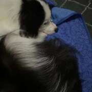 ヒメ日記 2026/01/17 04:46 投稿 ねねち 吉原ファーストレディ