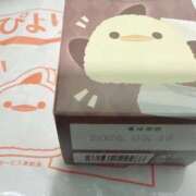 ヒメ日記 2026/01/26 11:32 投稿 ねねち 吉原ファーストレディ