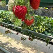 ヒメ日記 2026/03/03 10:41 投稿 ねねち 吉原ファーストレディ