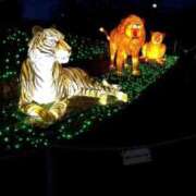 ヒメ日記 2026/03/10 13:06 投稿 ねねち 吉原ファーストレディ