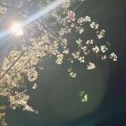 ヒメ日記 2026/04/06 00:26 投稿 ねねち 吉原ファーストレディ