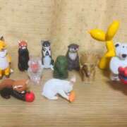 ヒメ日記 2025/12/02 23:36 投稿 さき 兵庫姫路・加古川ちゃんこ