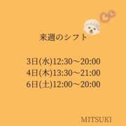 ヒメ日記 2025/11/28 10:46 投稿 みつき S-GALAXY