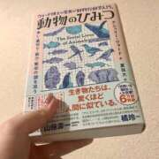 ヒメ日記 2025/11/20 23:39 投稿 こなみ 変態貴族 五反田店