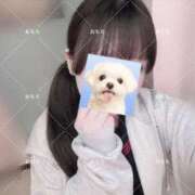 ヒメ日記 2026/06/13 17:38 投稿 おもち アイドルチェッキーナ本店