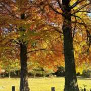 ふじやま 本日も出勤してます！ Sweet Room