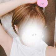 ヒメ日記 2025/11/17 08:47 投稿 まき 半熟ばなな 品川