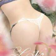 ヒメ日記 2026/02/15 00:44 投稿 葉月 まひろ こあくまな熟女たち 金沢店(KOAKUMAグループ)