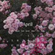 ヒメ日記 2026/04/08 10:12 投稿 みりあ Sナース女学園