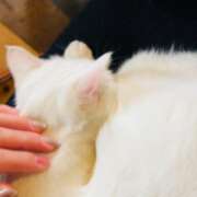 ヒメ日記 2026/04/20 12:12 投稿 みりあ Sナース女学園