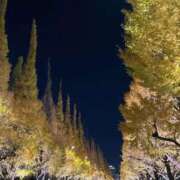 はる【Haru】 秋🍂 The Date SHINAGAWA Premier【ザ・デート品川プレミア】