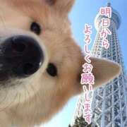 ヒメ日記 2026/09/24 12:30 投稿 白石湊 五十路マダムエクスプレス豊橋店（カサブランカグループ）