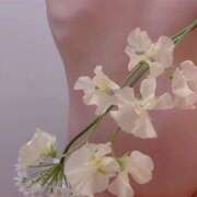 ヒメ日記 2025/12/19 09:36 投稿 みりあ PRIME