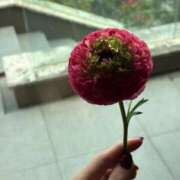 ヒメ日記 2026/03/12 17:16 投稿 みりあ PRIME