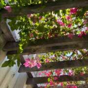 ヒメ日記 2026/04/09 19:16 投稿 みりあ PRIME