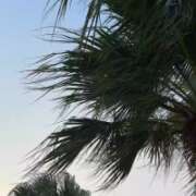 ヒメ日記 2026/04/13 16:38 投稿 みりあ PRIME