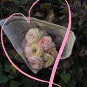 ヒメ日記 2026/04/14 18:25 投稿 みりあ PRIME