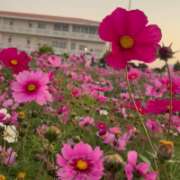 ヒメ日記 2026/04/15 19:27 投稿 みりあ PRIME