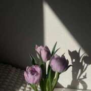 ヒメ日記 2026/04/16 16:56 投稿 みりあ PRIME