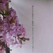 ヒメ日記 2026/04/16 17:10 投稿 みりあ PRIME