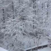 ヒメ日記 2025/12/27 12:31 投稿 涼宮 さな セレブリフレ水戸