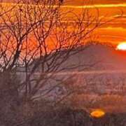 ヒメ日記 2026/01/13 20:02 投稿 涼宮 さな セレブリフレ水戸