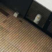 ヒメ日記 2026/05/08 15:30 投稿 涼宮 さな 高級出張性感マッサージ＆回春エステ セレブリフレ